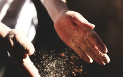 Boulangerie artisanale à Strasbourg : l’art de la fabrication traditionnelle du pain chez Chez Jérémy