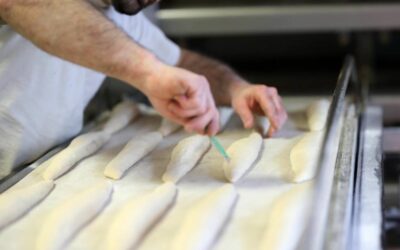 Artisan boulanger dans le Bas-Rhin : vos pains et viennoiseries préparés par un spécialiste
